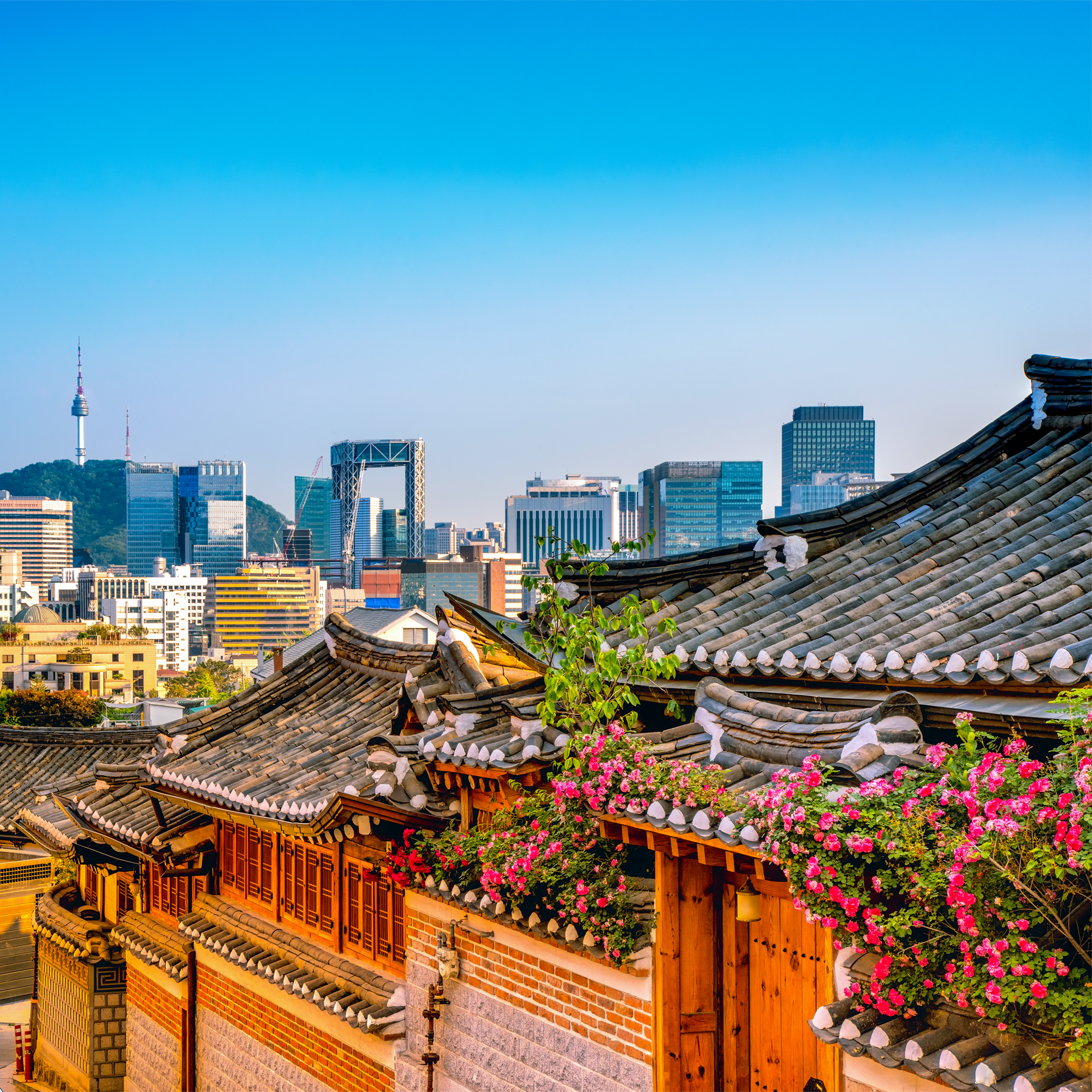 Photo of South korea